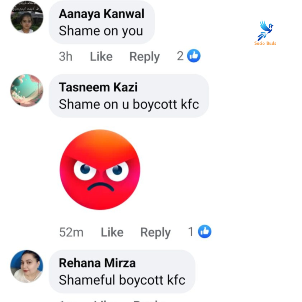 Saba Faisal Criticized for Ignoring KFC Boycott