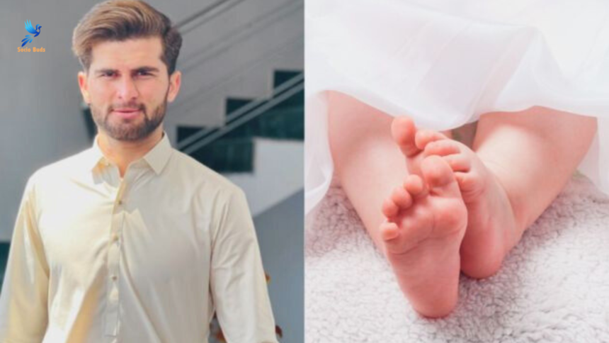 Featured Images 9 - Shaheen Afridi and Ansha Afridi Welcome Their Baby Boy Socio Buds