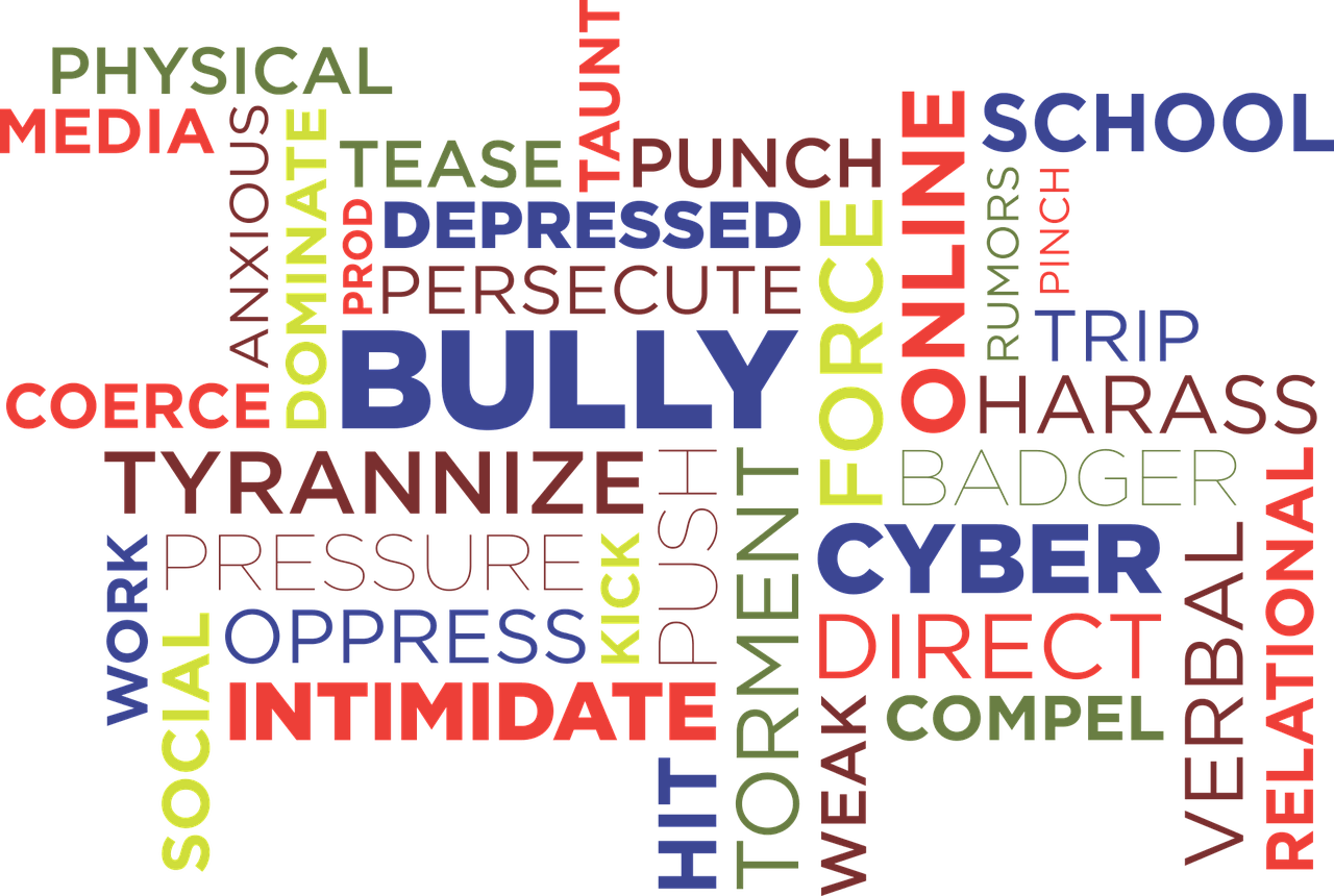 cyber bullying - Pakistani Celebrities Demand Safer Digital Spaces to Combat Cyberbullying Socio Buds