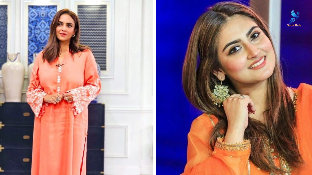 Featured Images 12 - Nadia Khan Criticized for Exposing Hiba Bukhari's Pregnancy Socio Buds